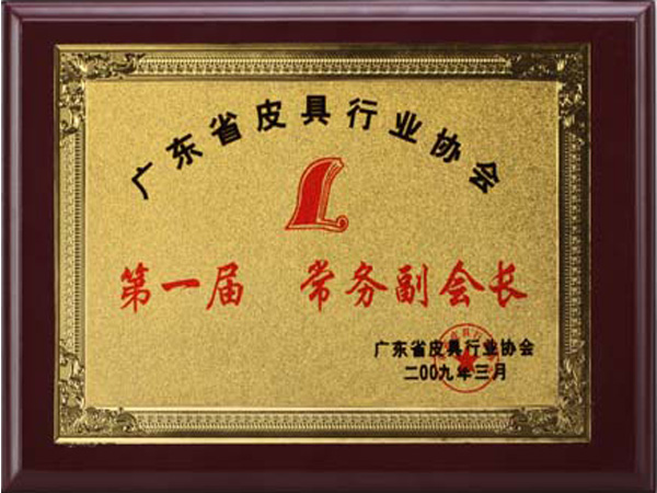 txvlogcom糖心榮譽：廣東省皮（pí）具行業協會常務副會長